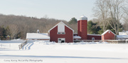 10th Feb 2014 - Farm in Winter