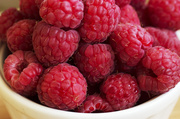 11th Feb 2014 - Raspberries