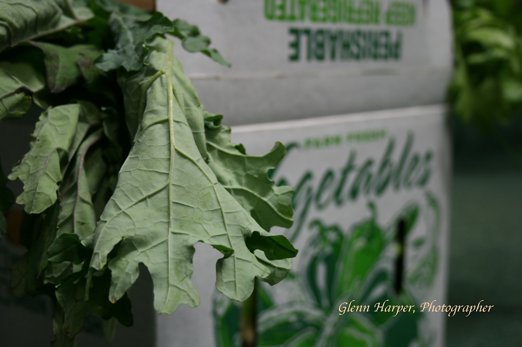 Veggie Box by glennharper
