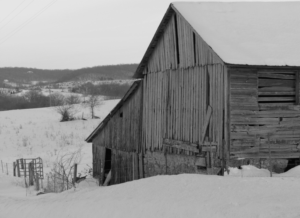 Barn in Winter by juletee