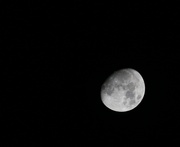 10th Feb 2014 - Moon