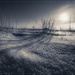 Black & White & Cold All Over by bluemoon
