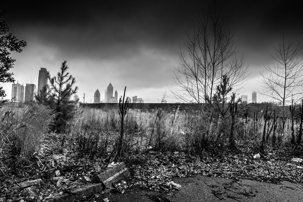 Urban Wasteland by darylo
