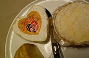 12th Feb 2014 - Hearty cheese