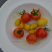 Yellow and Red Tomatoes by gigiflower