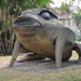 Big Cane Toad by leestevo