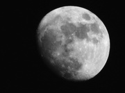 12th Feb 2014 - Moon Shot