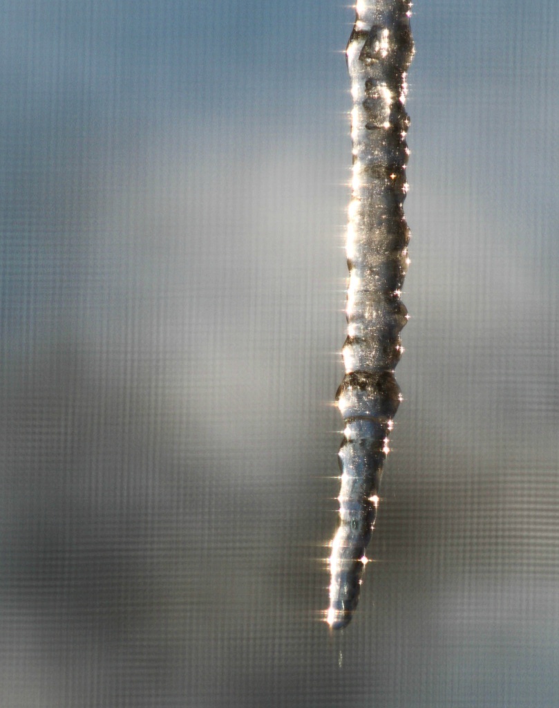 Glittering icicle on a frigid day by mittens