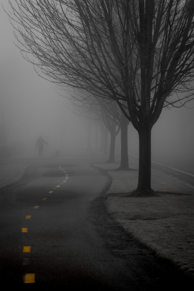 Fog Walkers by pflaume
