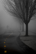 12th Feb 2014 - Fog Walkers
