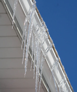 12th Feb 2014 - More icicles on a frigid day