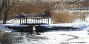 12th Feb 2014 - Snowy Bridge