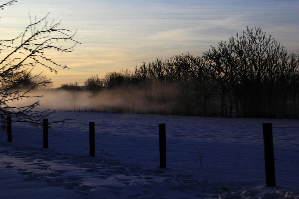 Soft Misty Morning Light by digitalrn