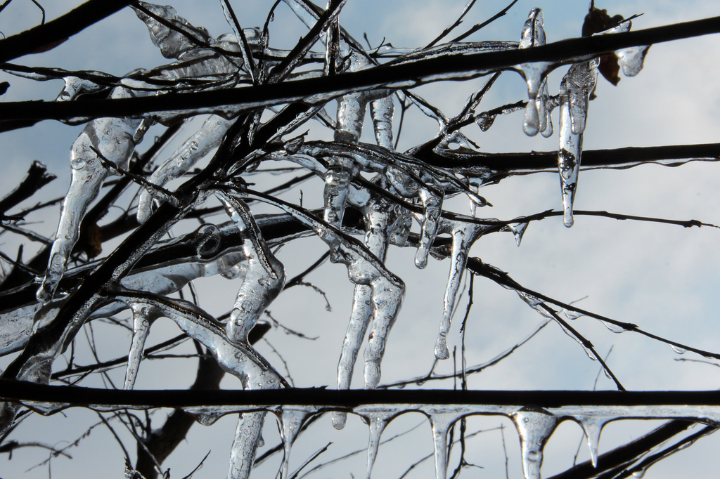Icy Limbs by milaniet