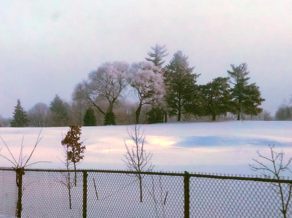 Snow scene-golf course by houser934