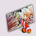 Nemo Escapes! by joysfocus