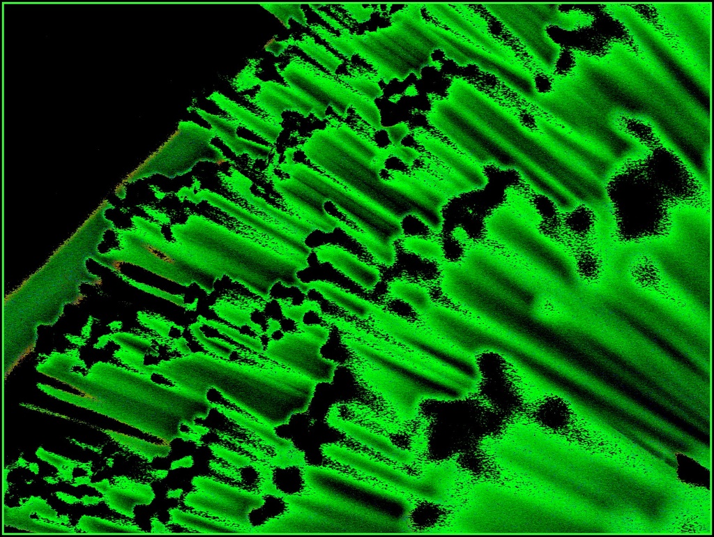 Abstract Scratchy Green Things by olivetreeann