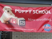 13th Feb 2014 - Puppy School!