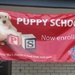Puppy School! by happysnaps