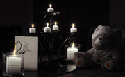 13th Feb 2014 - Teddy Bear love
