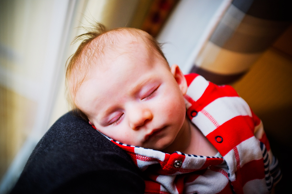 Day 041, Year 2 - Sleeping Toby by stevecameras