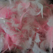 Feather Boa by pcoulson
