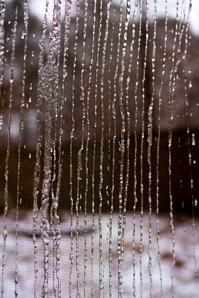 Curtain of Rain by rayas