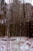 12th Feb 2014 - Curtain of Rain