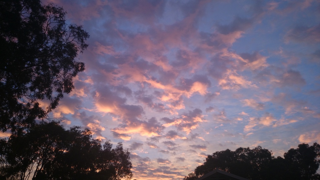 morning sky by dianeburns