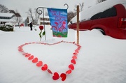 13th Feb 2014 - Heart Attack Snow