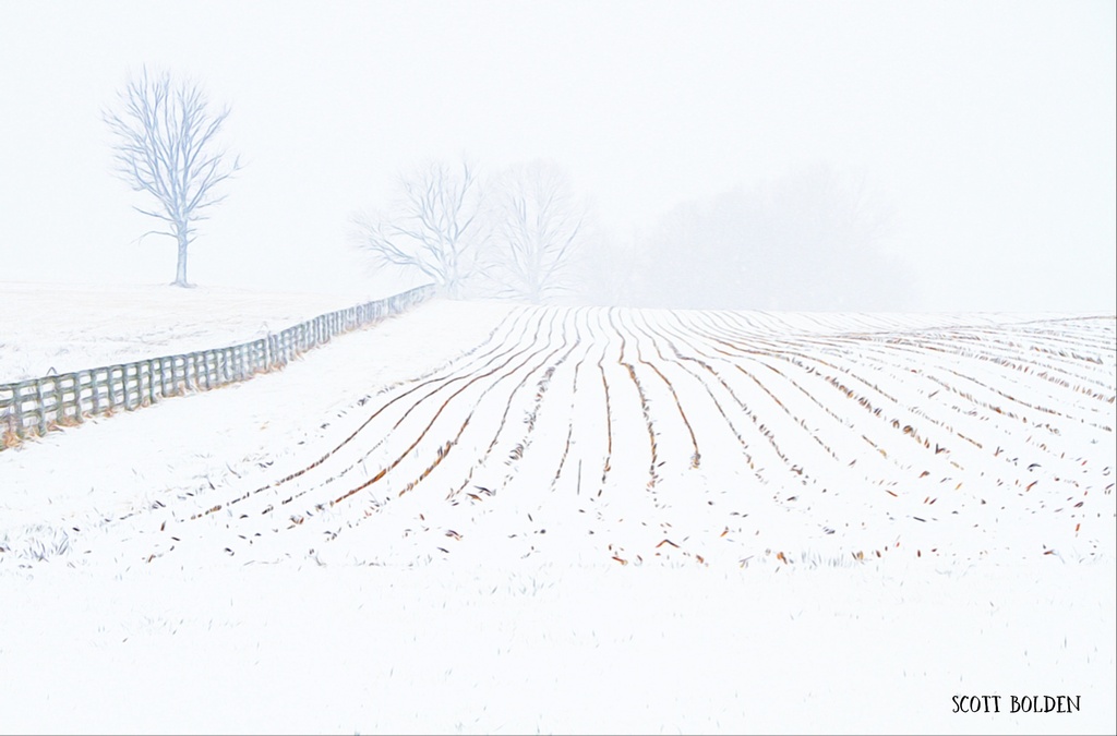 White Out by sbolden