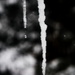 Day 44:  Icicles by sheilalorson