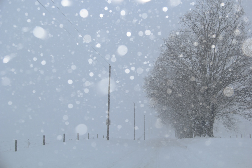 Soft Snow On A Country Road  by digitalrn