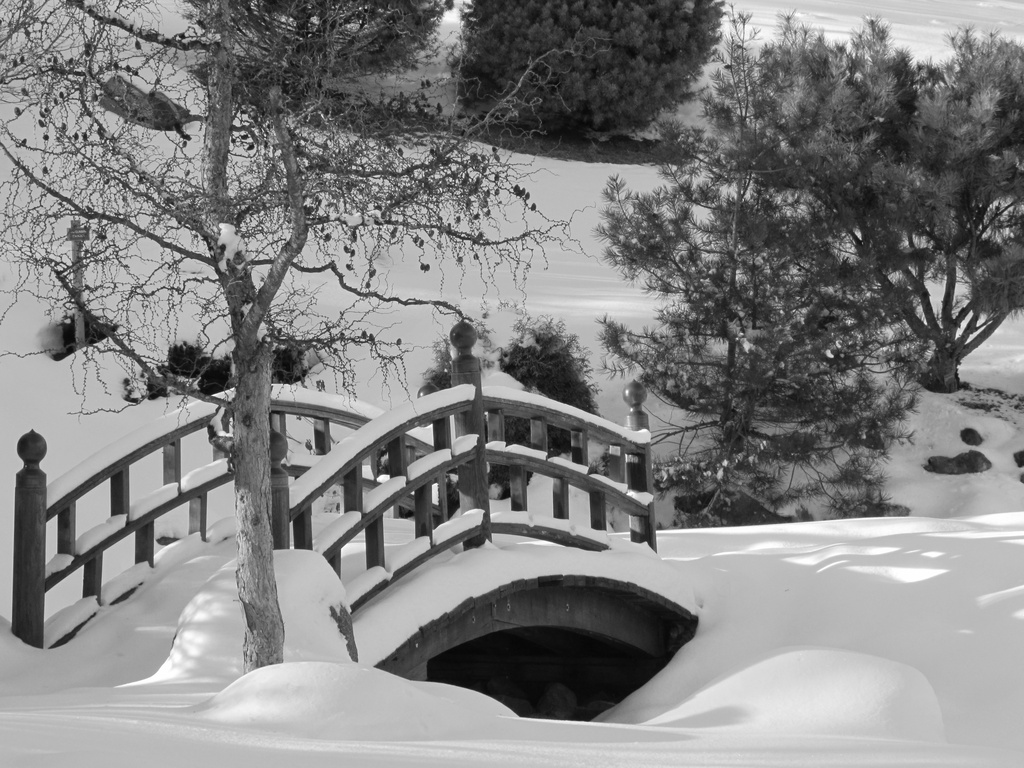 Arboretum Bridge by juletee