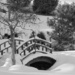 Arboretum Bridge by juletee