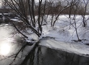 13th Feb 2014 - Snowy banks and icy water, Kalamazoo River