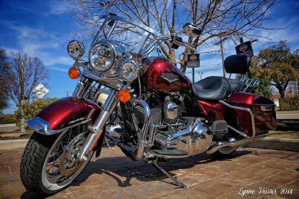 Harley Davidson by lynne5477