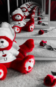 14th Feb 2014 - Teddy Bear love goes on forever