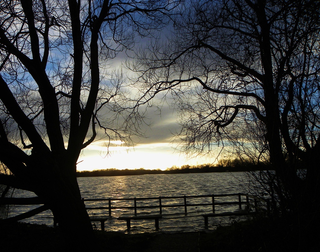 High Water at Attenborough Nature Reserve by oldjosh
