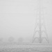 Pylon and trees in the mist by seanoneill