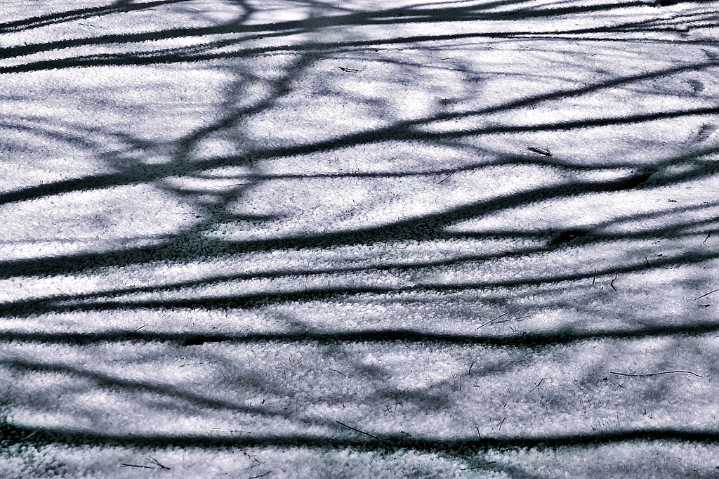 Shadows on Snow  by soboy5