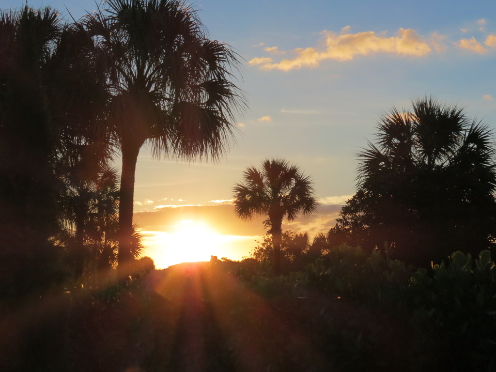 Sunrise in Florida by radiogirl