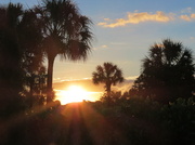 12th Feb 2014 - Sunrise in Florida