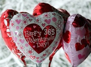 14th Feb 2014 - Happy Valentine's Day 365