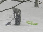 12th Feb 2014 - Neighbor Shoveling Snow 2-12