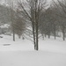 Snowy Frontyard 2-12 by sfeldphotos