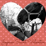 14th Feb 2014 - Valentine horse #1