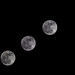 58/365: "Full rising moon / Luna llena" by jborrases