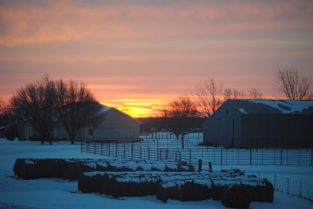 Sunrise on the Farm by genealogygenie