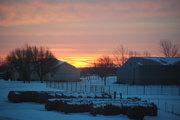 13th Feb 2014 - Sunrise on the Farm